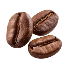 Arabica Bean